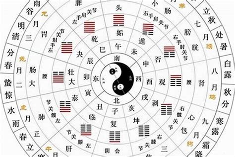 十二天干|十二天干地支对照表 十天干和十二地支详解